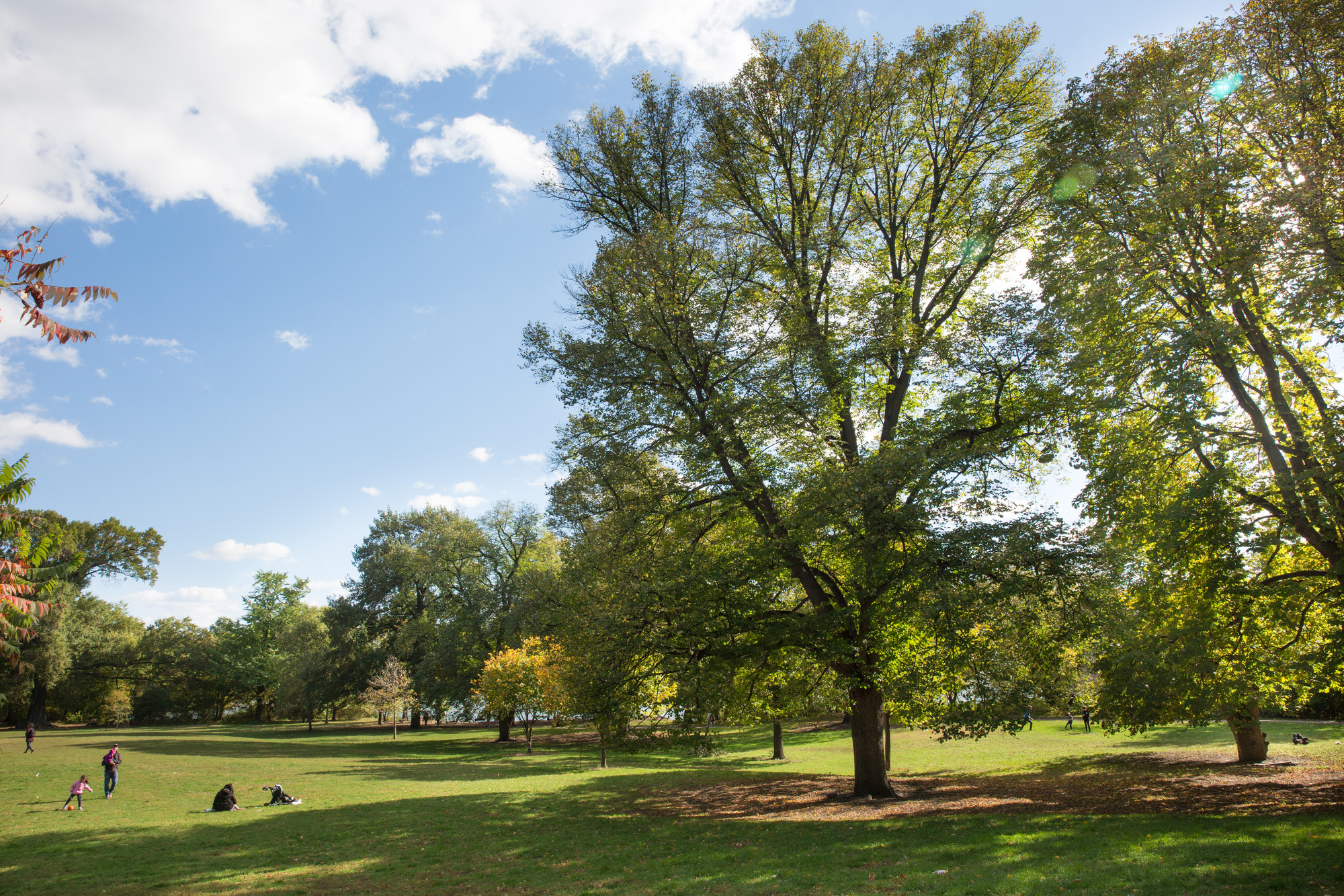 prospect park