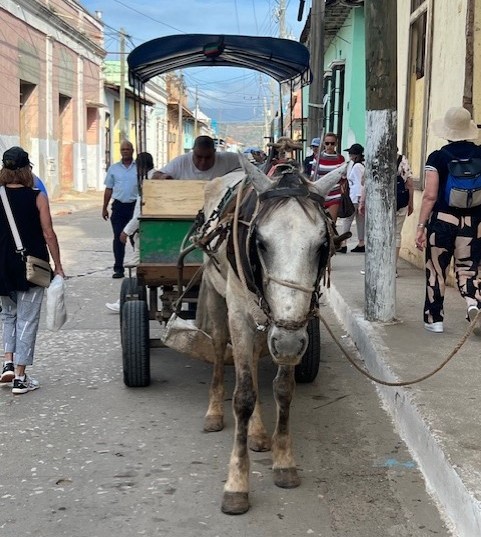 A horse-drawn cart makes a delivery on a Havana street.